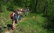 26 il Sentiero del Viandante  71 continua nel bosco...